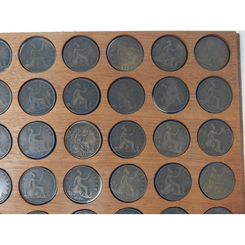 91 - A Collection of Victoria Pennies 1860-1895