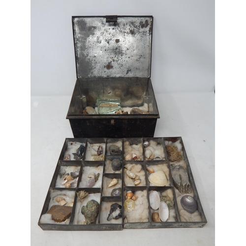 610 - A Victorian Specimen Chest containing trays of fossils, shells & curios.