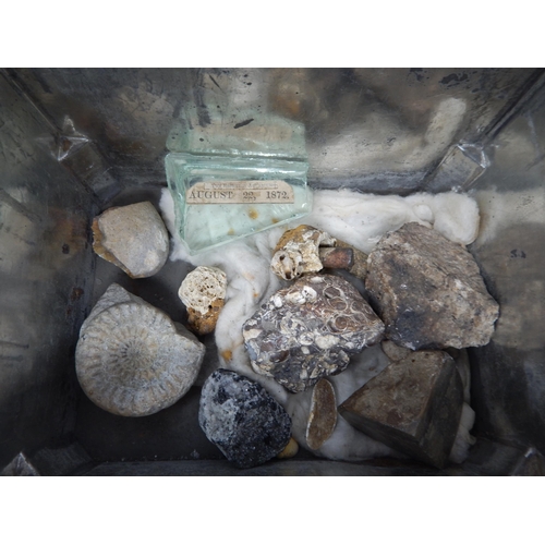 610 - A Victorian Specimen Chest containing trays of fossils, shells & curios.