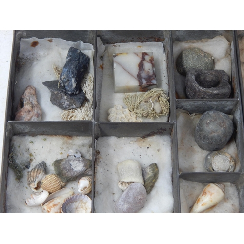 610 - A Victorian Specimen Chest containing trays of fossils, shells & curios.