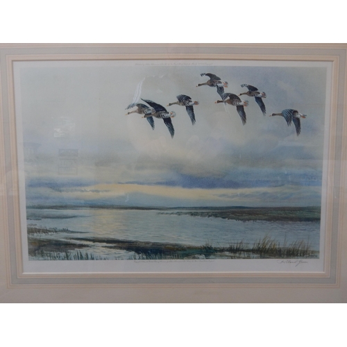 513 - ROLAND GREEN: White Fronted Geese: Ltd Edn Artist Signed Proof: Framed & Glazed: 80cm x 58cm overall