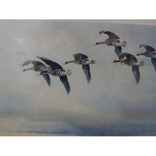 513 - ROLAND GREEN: White Fronted Geese: Ltd Edn Artist Signed Proof: Framed & Glazed: 80cm x 58cm overall