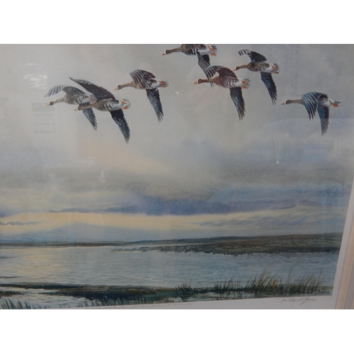 513 - ROLAND GREEN: White Fronted Geese: Ltd Edn Artist Signed Proof: Framed & Glazed: 80cm x 58cm overall