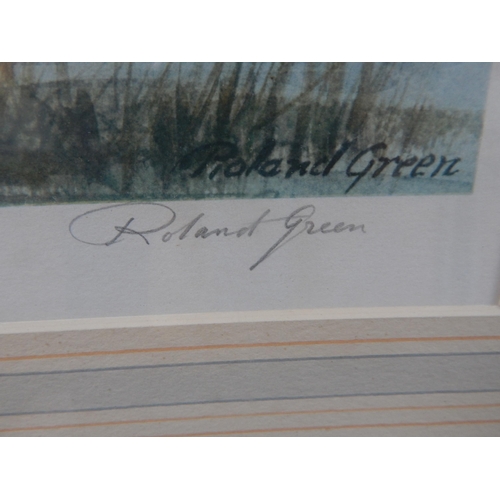 513 - ROLAND GREEN: White Fronted Geese: Ltd Edn Artist Signed Proof: Framed & Glazed: 80cm x 58cm overall