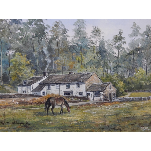 519 - DENYS GARLE: C20th Oil on Canvas: Landscape with Horse & Cottage: Signed Lower Right: Framed: 69.5cm... 