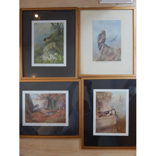 Archibald Thorburn (1860-1935) Four Signed Prints of Birds: Framed & Glazed: Measuring 44cm x 36cm overall