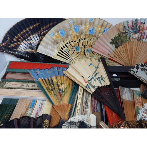 557 - A Large Quantity of Fans from a private collection (lot)