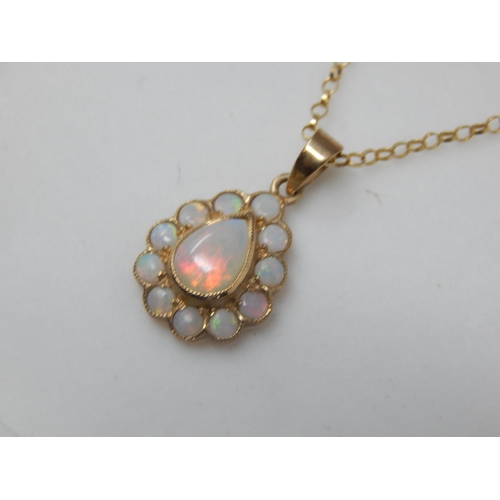 391 - 9ct Yellow Gold Opal Pendant on 9ct Gold Chain (46cm) Gross weight 1.81g: In Presentation Box