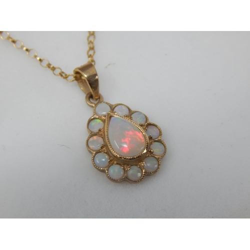 391 - 9ct Yellow Gold Opal Pendant on 9ct Gold Chain (46cm) Gross weight 1.81g: In Presentation Box