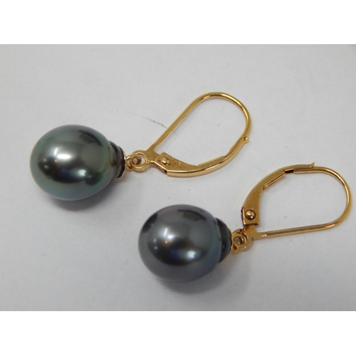 398 - A Pair of 18ct Gold Tahitian Pearl Earrings in Fitted Case