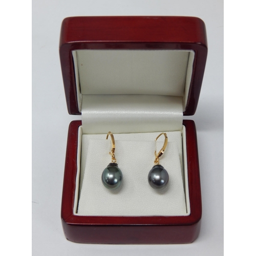 398 - A Pair of 18ct Gold Tahitian Pearl Earrings in Fitted Case