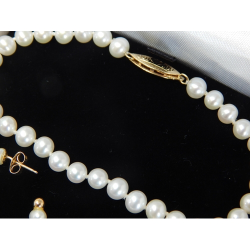 413 - A Pearl Bracelet & Earrings with 14ct Gold Mounts in Presentation Box