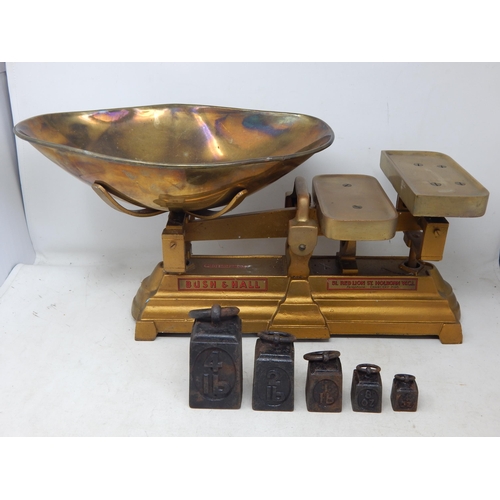 632 - A Good Set of Bush & Hall Scales with Brass Pan & Set of Weights 8lb - 1/2lb