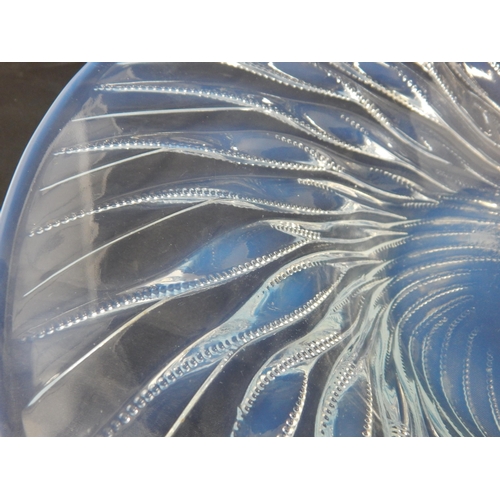 484 - RENE LALIQUE (1860-1945) Opalescent Algues Bowl: Designed 1933: Diameter 35.5cm