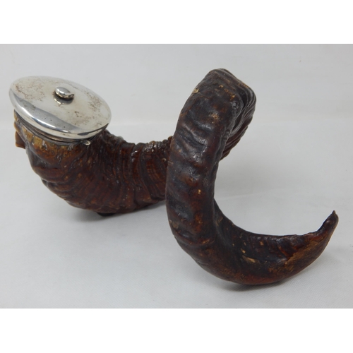 747 - 19th Century Scottish Silver Mounted Rams Horn Table Snuff Mull, The Front Carved as a Mans Face & t... 