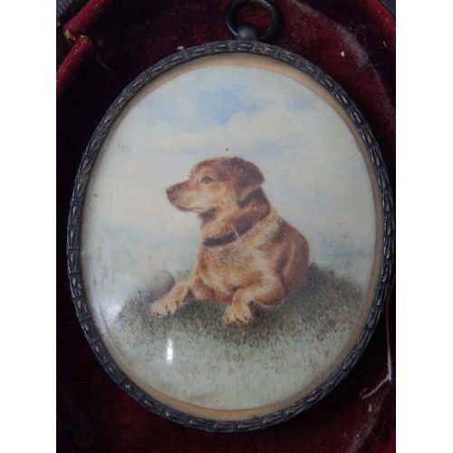 258 - 19th Century Miniature Painting of a Dog, Signed C.M.B, in Original Frame & Contained within a Perio... 