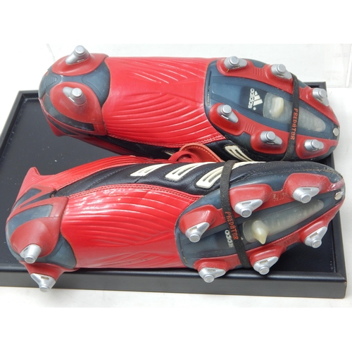 483 - STEVEN GERRARD: Signed Match Play Football Boots: Addidas Predator Absolute. Lilly Ella (His Eldest ... 