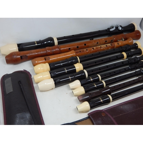 497 - Large Quantity of Varying Sized Recorders, Mainly by Allos & Adler: Largest 64cm