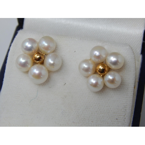 140 - A Pair of 18ct Yellow Gold Pearl Set Earrings & a Gold Clasped Necklace (40cm) with original purchas... 