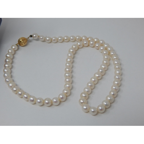 140 - A Pair of 18ct Yellow Gold Pearl Set Earrings & a Gold Clasped Necklace (40cm) with original purchas... 