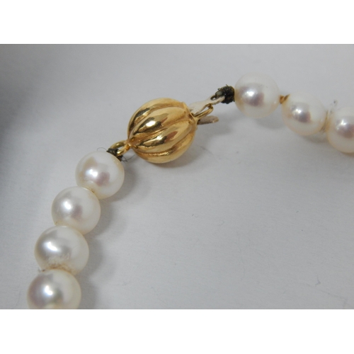 140 - A Pair of 18ct Yellow Gold Pearl Set Earrings & a Gold Clasped Necklace (40cm) with original purchas... 