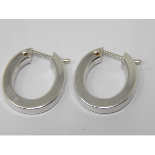 254 - A Pair of 9ct White Gold Earrings: Weight 1.78g