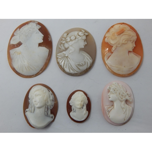 268 - A Group of Cameos Depicting Classical Ladies (6)