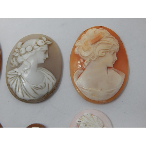 268 - A Group of Cameos Depicting Classical Ladies (6)