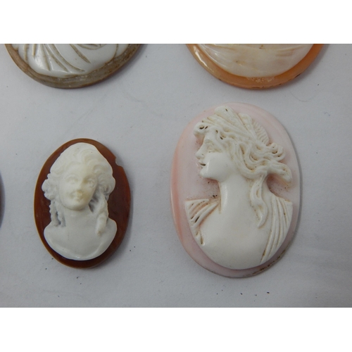 268 - A Group of Cameos Depicting Classical Ladies (6)