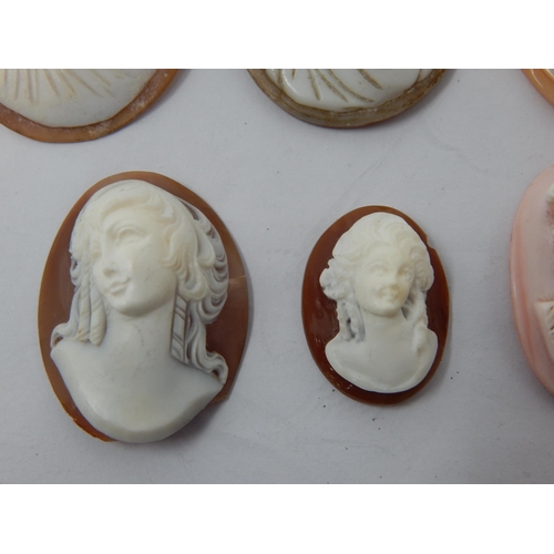 268 - A Group of Cameos Depicting Classical Ladies (6)