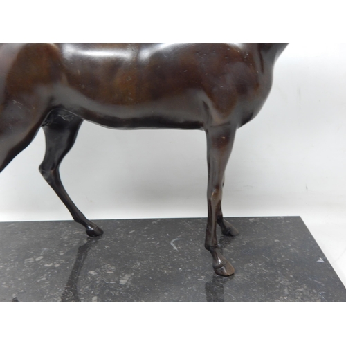 383 - Well Cast Bronze Figure of a Horse on rectangular Marble Base: Measuring 36cm wide x 30cm high x 15c... 