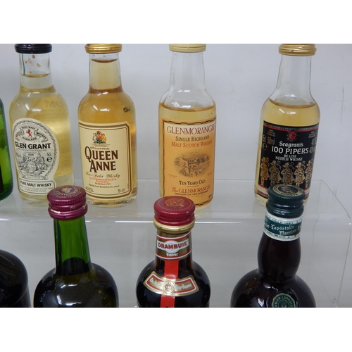 316 - A Collection of Spirit Miniatures Including Whisky, Brandy, Bacardi etc (lot)