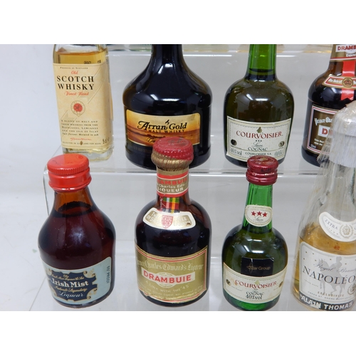 316 - A Collection of Spirit Miniatures Including Whisky, Brandy, Bacardi etc (lot)