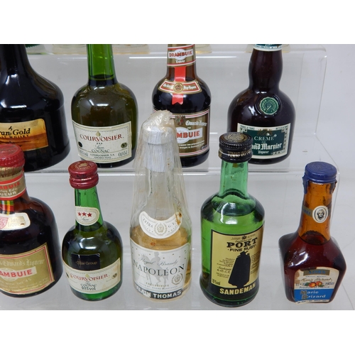 316 - A Collection of Spirit Miniatures Including Whisky, Brandy, Bacardi etc (lot)