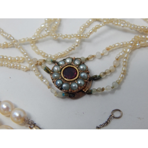 47 - Edwardian Pearl Necklace with Garnet & Pearl Set gold Clasp together with further gold clasped pearl... 