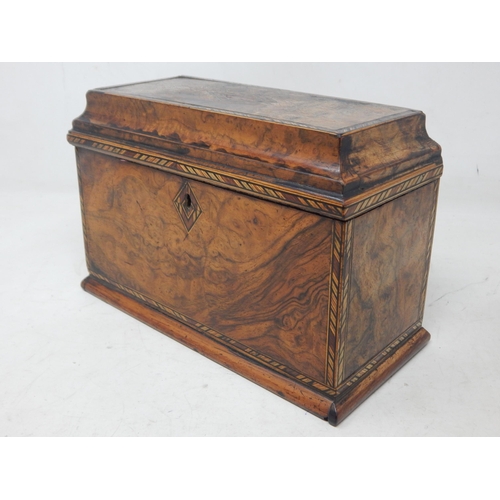 391 - 19th Century Twin Division Wooden Tea Caddy