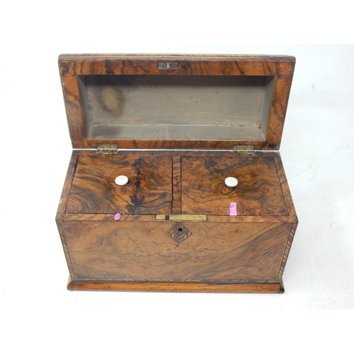 391 - 19th Century Twin Division Wooden Tea Caddy