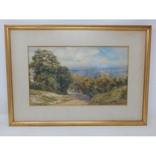 525 - R. Warren Warren, Victorian Watercolour of Figures at Newlands Corner, Guildford Surrey: Signed & Da... 