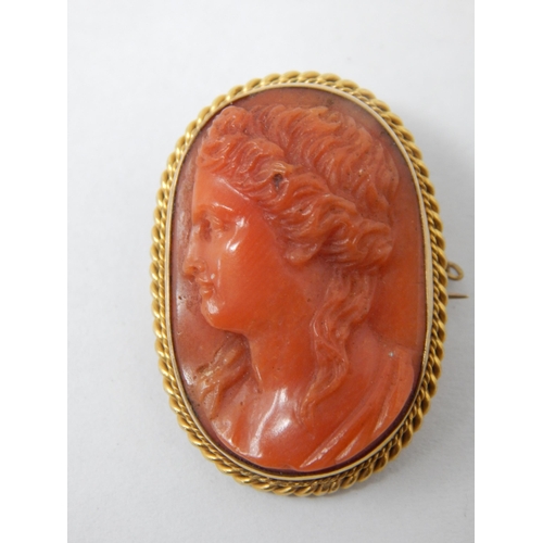 9ct Gold Coral Portrait Brooch