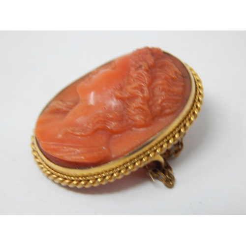 249 - 9ct Gold Coral Portrait Brooch