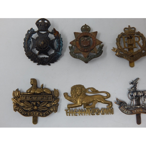 89 - A Collection of Military Badges to Include: Royal Warwickshire Regiment, Bedfordshire & Hertfordshir... 