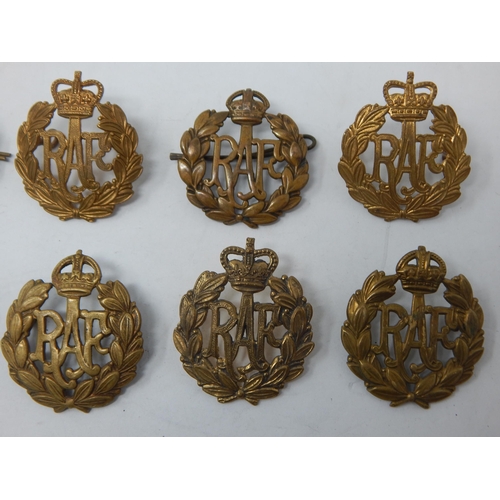 92 - A Collection of Military R.A.F Cap Badges (8)