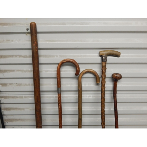 471 - 4 x Walking Sticks, Wooden oar & a Cast Iron Door Stop