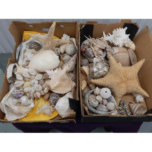 488 - 2 x Large Boxes of Assorted Shells