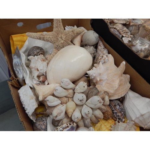 488 - 2 x Large Boxes of Assorted Shells