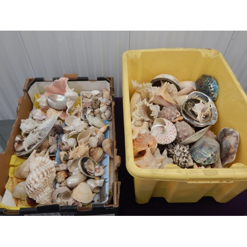 489 - 2 x Large Boxes of Assorted Shells