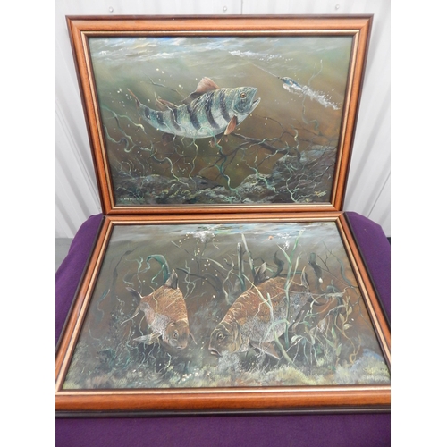 492 - A Pair of Oil on Canvas Pictures of Fish: Signed David Barber & dated 88: Measuring 68cm x 48cm over... 