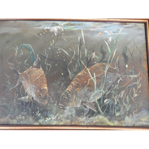 492 - A Pair of Oil on Canvas Pictures of Fish: Signed David Barber & dated 88: Measuring 68cm x 48cm over... 