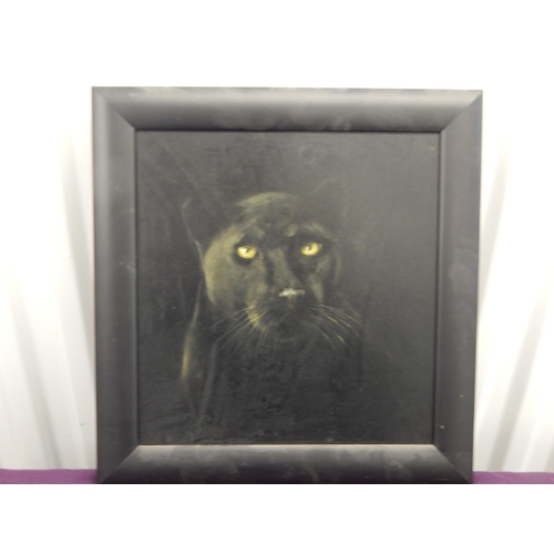 493 - Oil on Board of a Black Panther: Framed, Measuring 38cm x 38cm