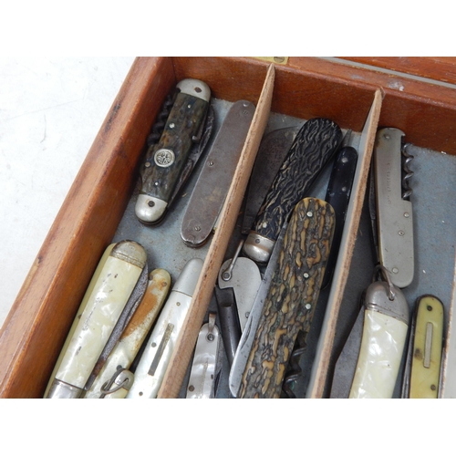 36 - Large collection of fruit knives, etc, in collectors box